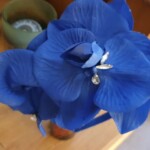 Fascinators in Essex Fascinators in Essex