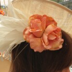 Fascinators in Essex Fascinators in Essex